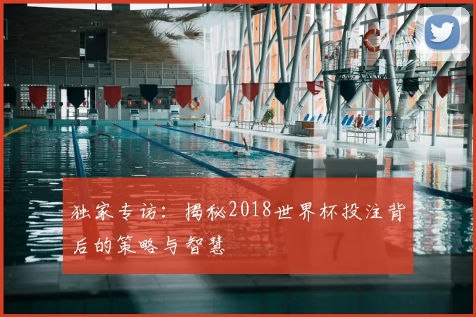 独家专访：揭秘2018世界杯投注背后的策略与智慧