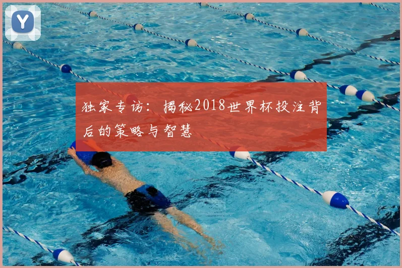 独家专访：揭秘2018世界杯投注背后的策略与智慧