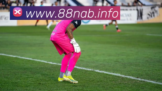 九游j9官网入口老版本平台生态图