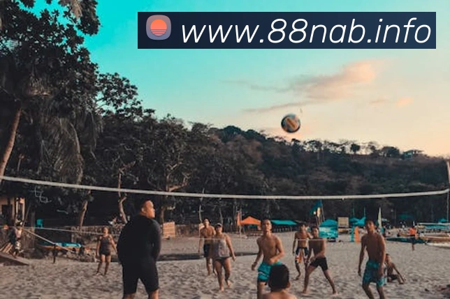 九游j9官网入口老版本全站App